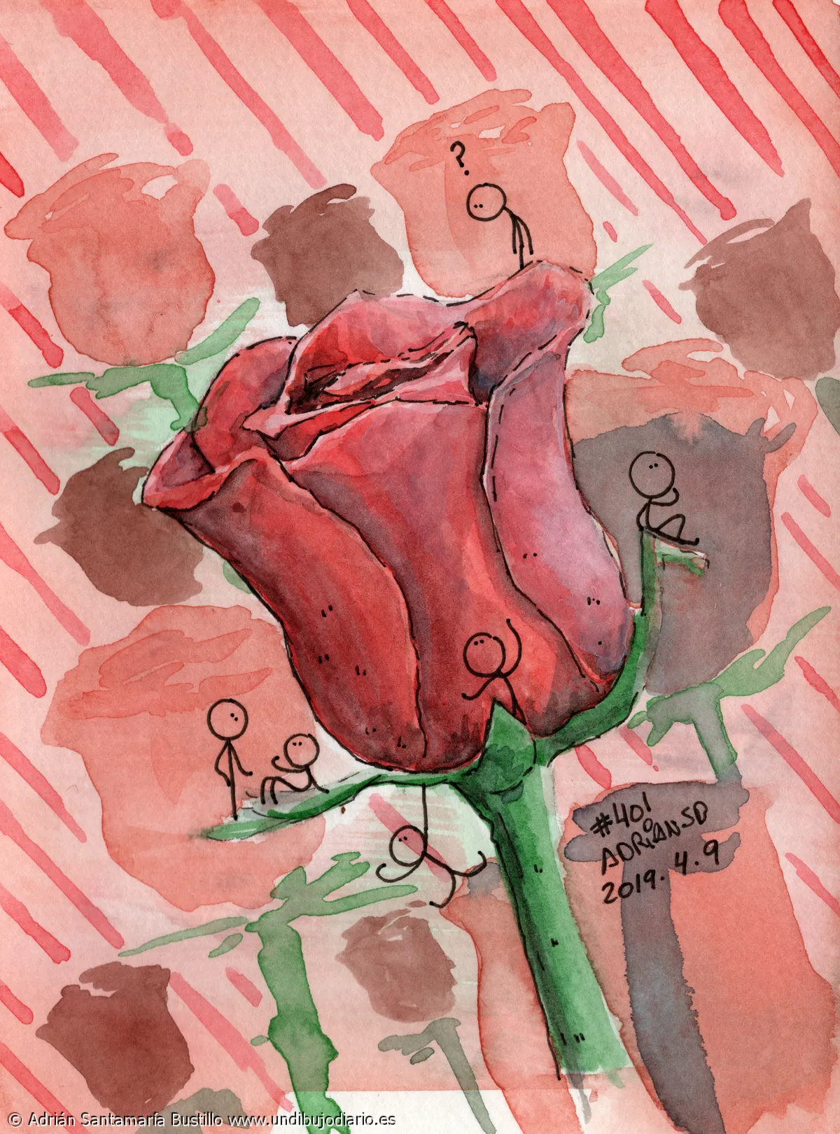 Una rosa - Estoy estos dias enfrascado con cierta fruta autóctona aparte del dibujo diario así que estos serán algo descafeinados ...